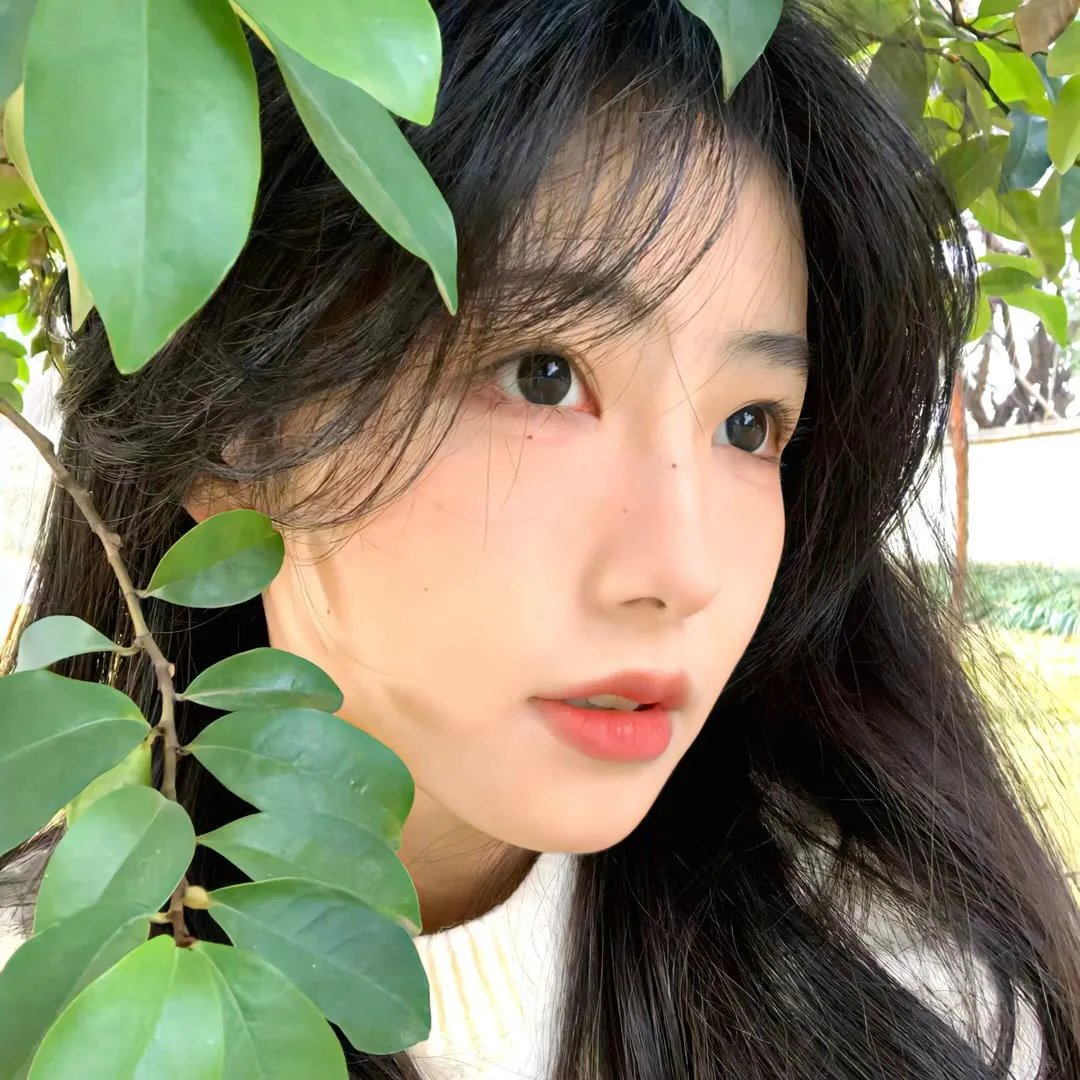 开罗谍影