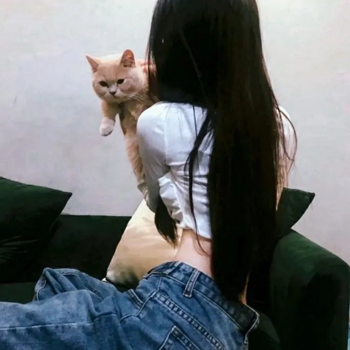 毛骗