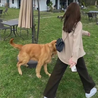 为你流的泪